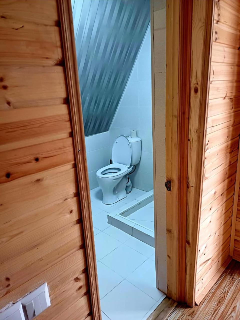 Forest Hut * Bordjomi